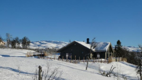 NEUE Fjellhytte